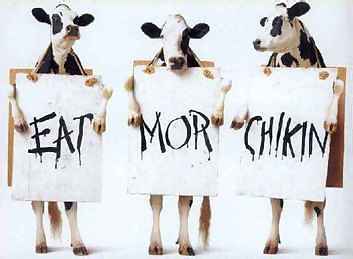 cows.jpg